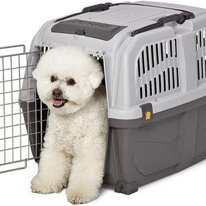 MidWest Homes for Pets Skudo Plastic Carrier, 27-Inch Ideal